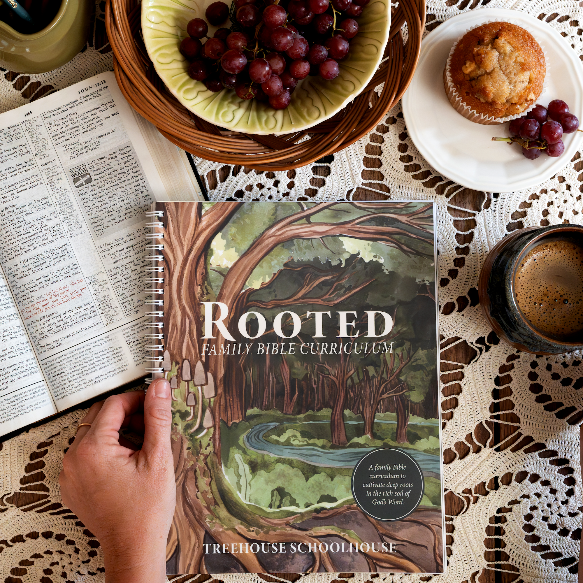 Rooted Family Bible Curriculum
