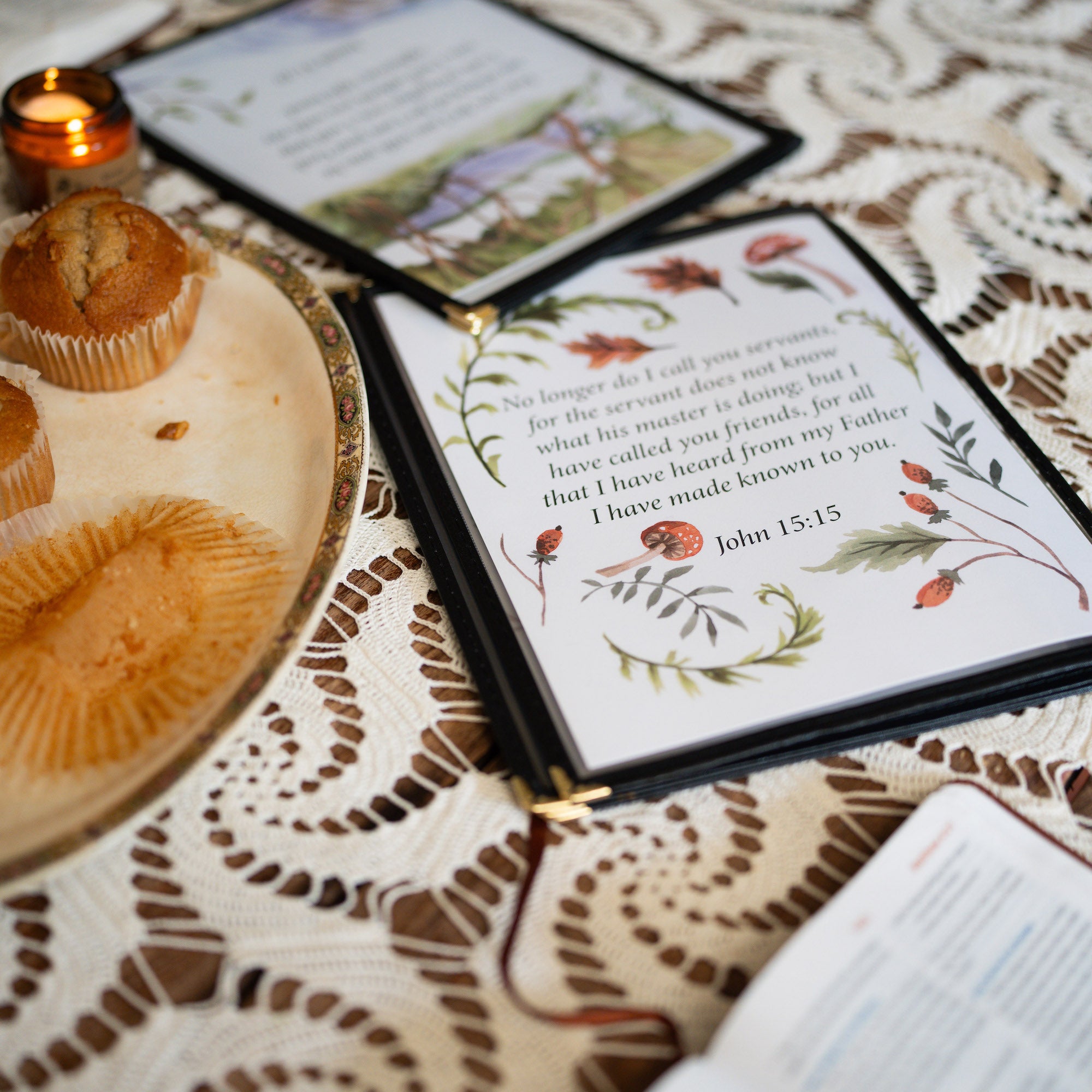 Rooted Family Bible Curriculum