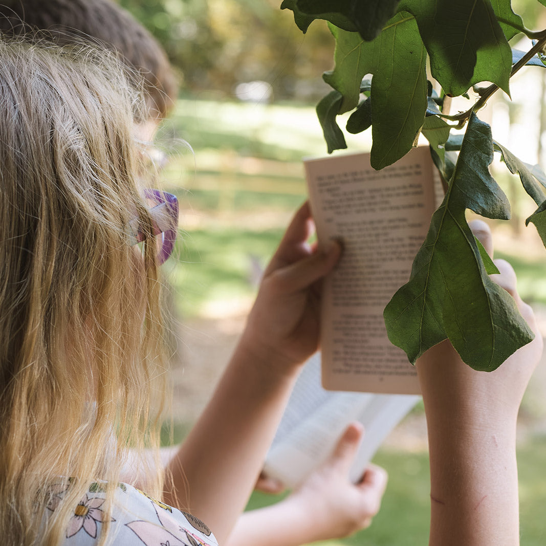 The Secret Garden Book Study