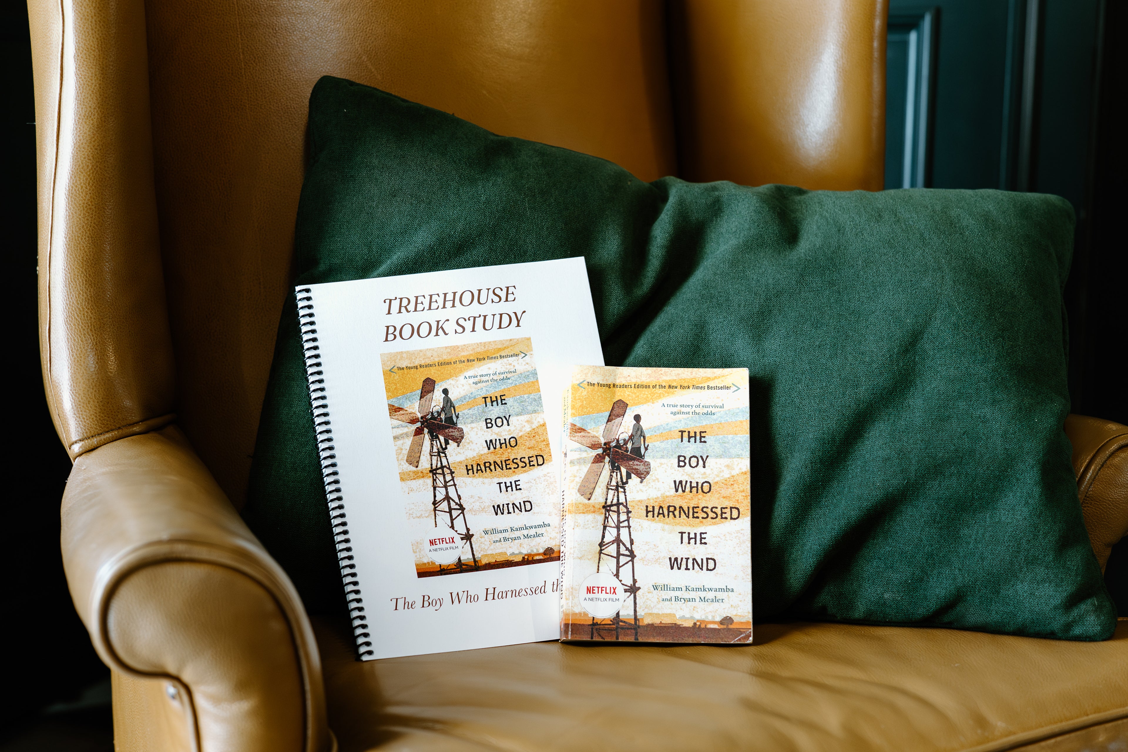 The Boy Who Harnessed the Wind Book Study