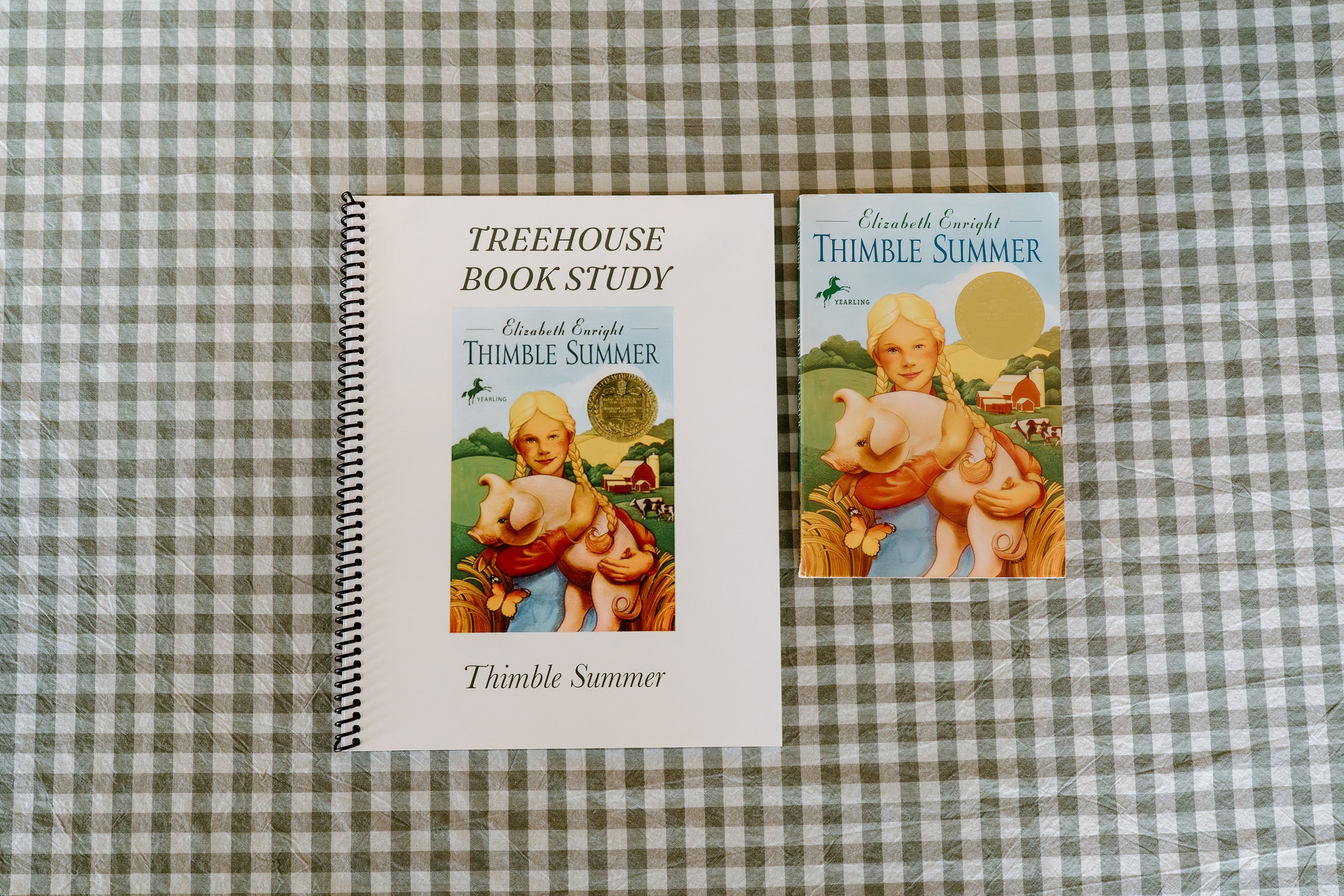 Thimble Summer Book Study