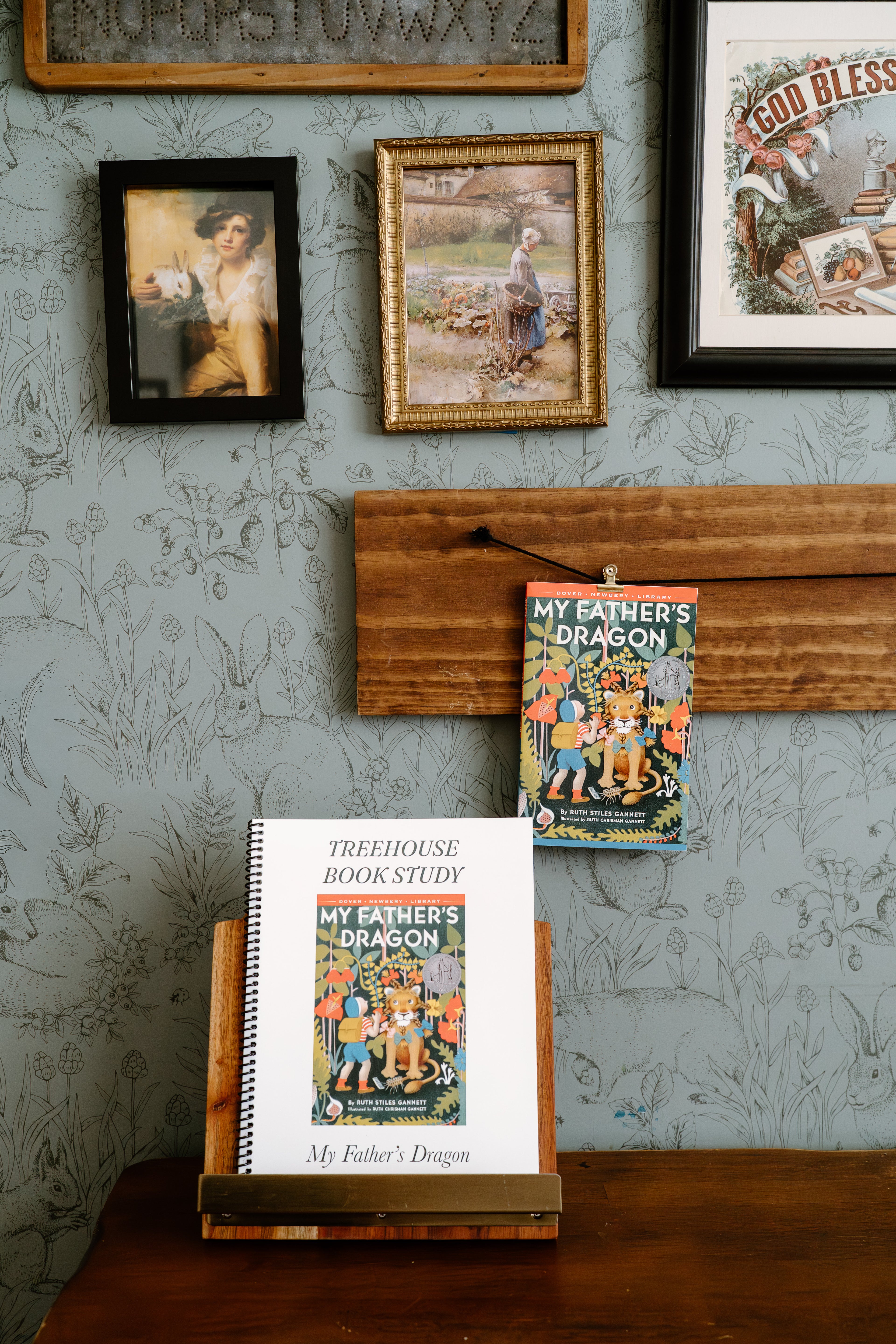 My Father’s Dragon Book Study