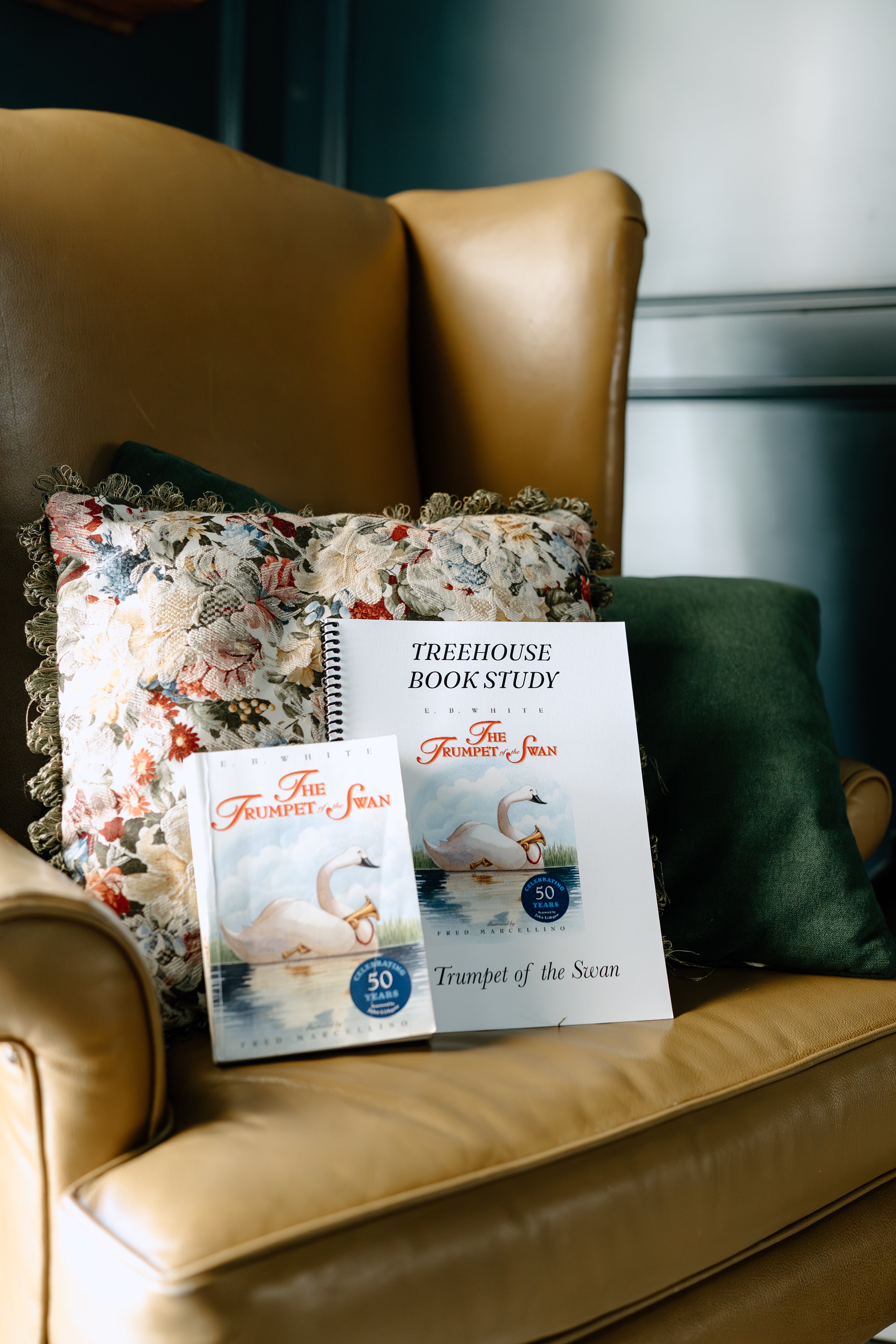 The Trumpet of the Swan Book Study