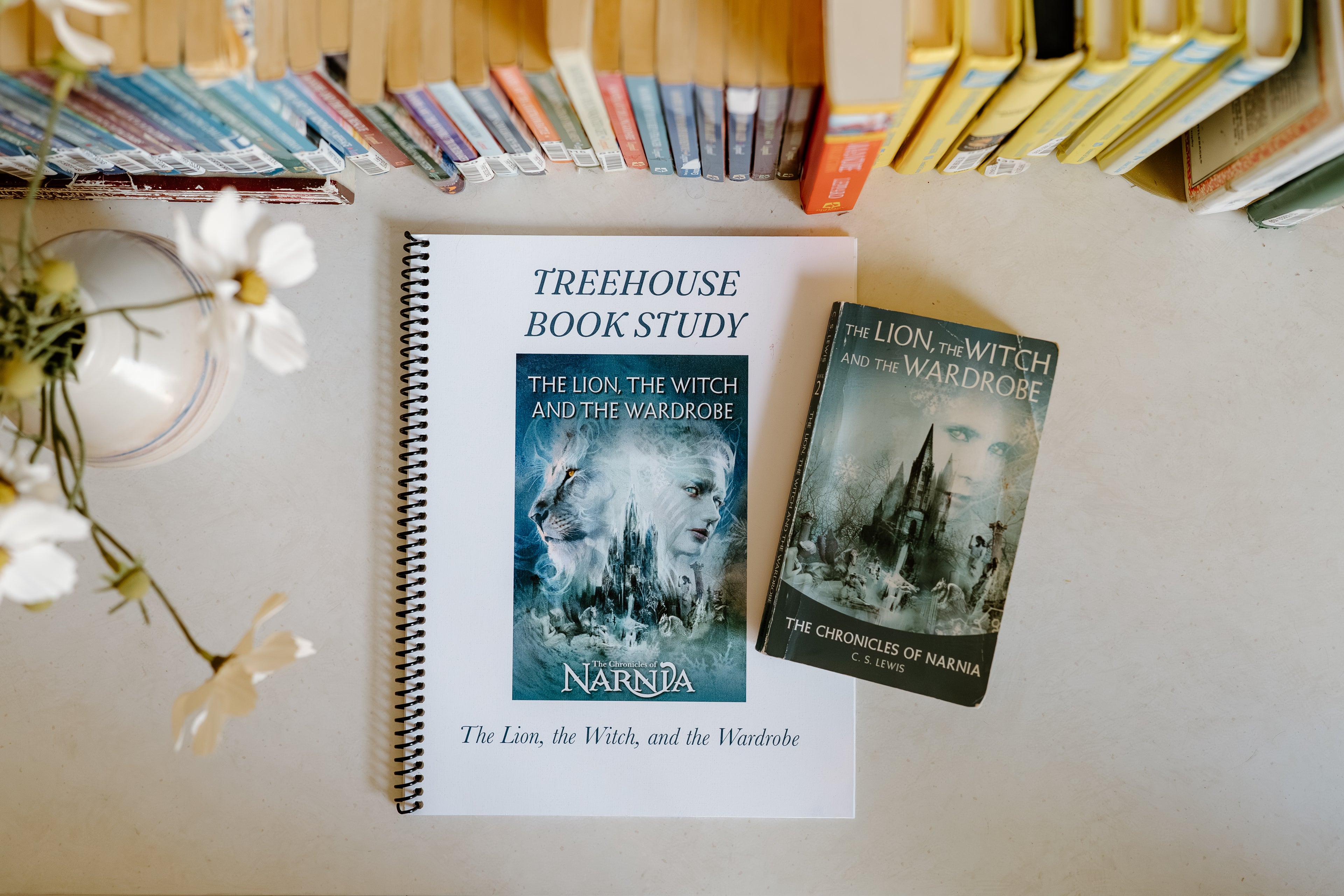 The Lion, the Witch, and the Wardrobe Book Study