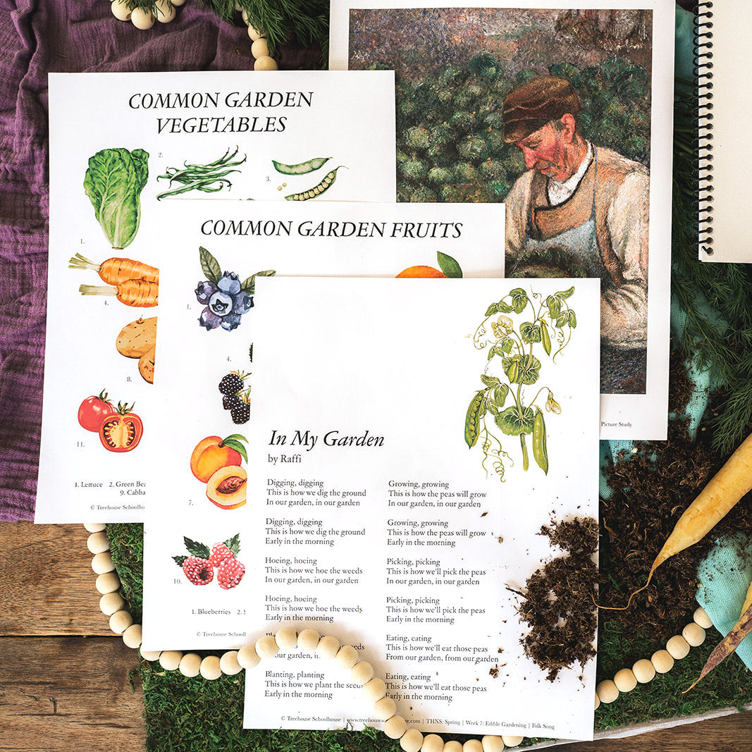 Treehouse Nature Study: Spring, Primary Years (Small Group License)