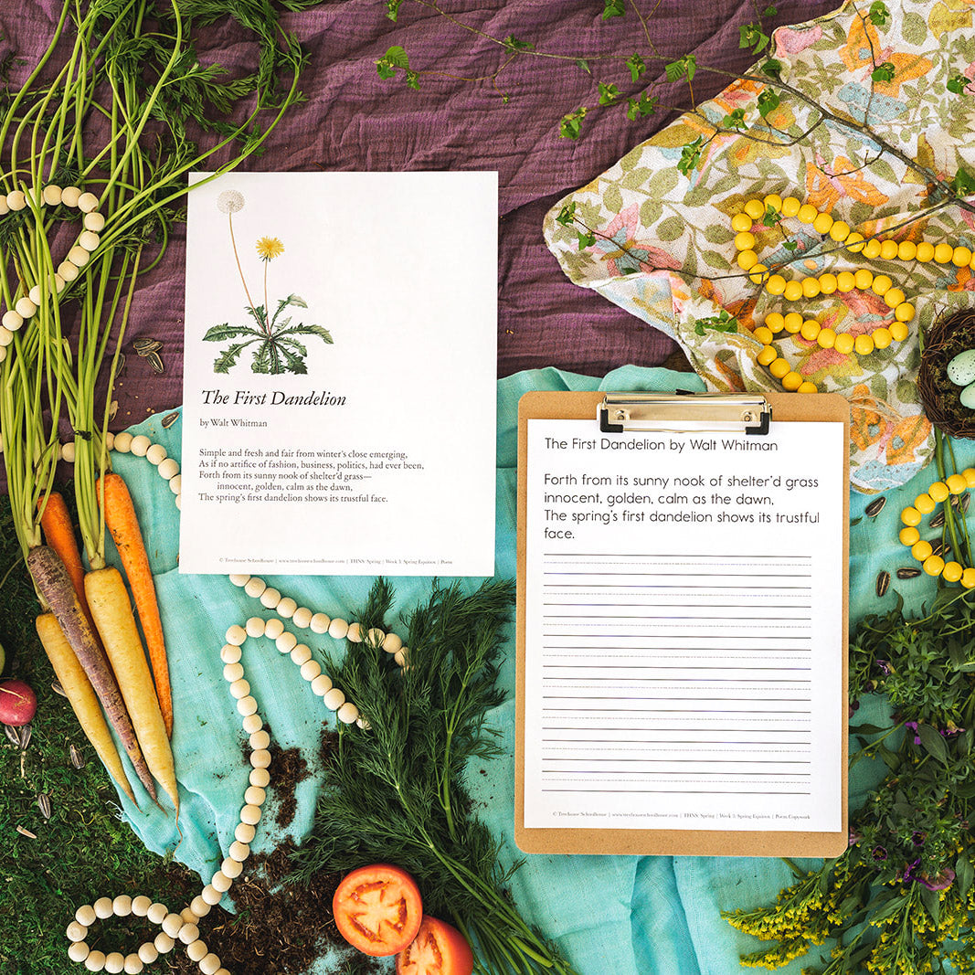 Treehouse Nature Study: Spring, Primary Years (Small Group License)