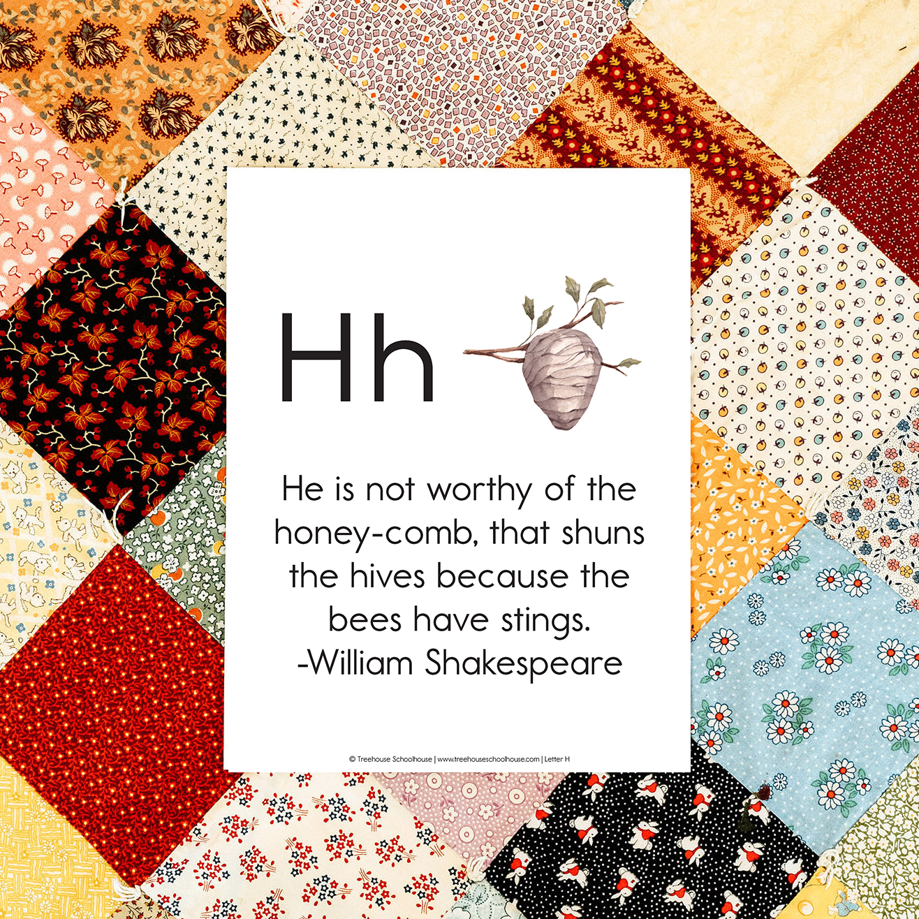 Wonder of Nature Print Copywork (Digital Download)