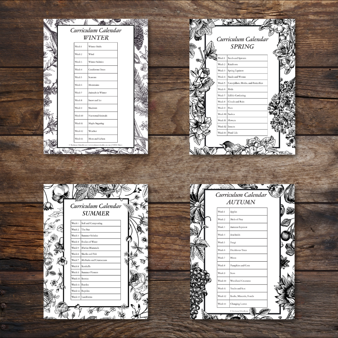 Treehouse Nature Study: Four Seasons Collection, Primary Years