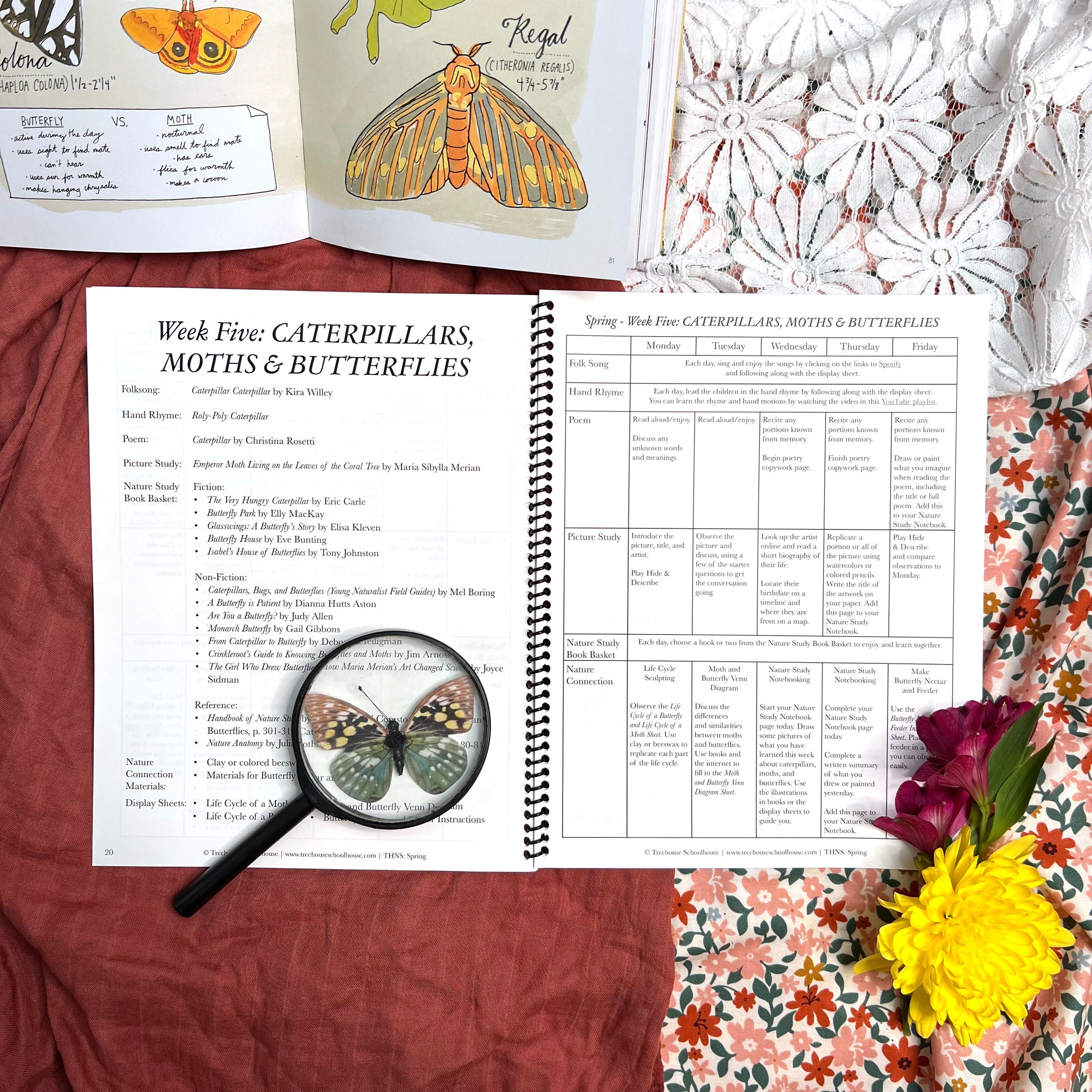Treehouse Nature Study: Four Seasons Collection, Primary Years (Small Group License)