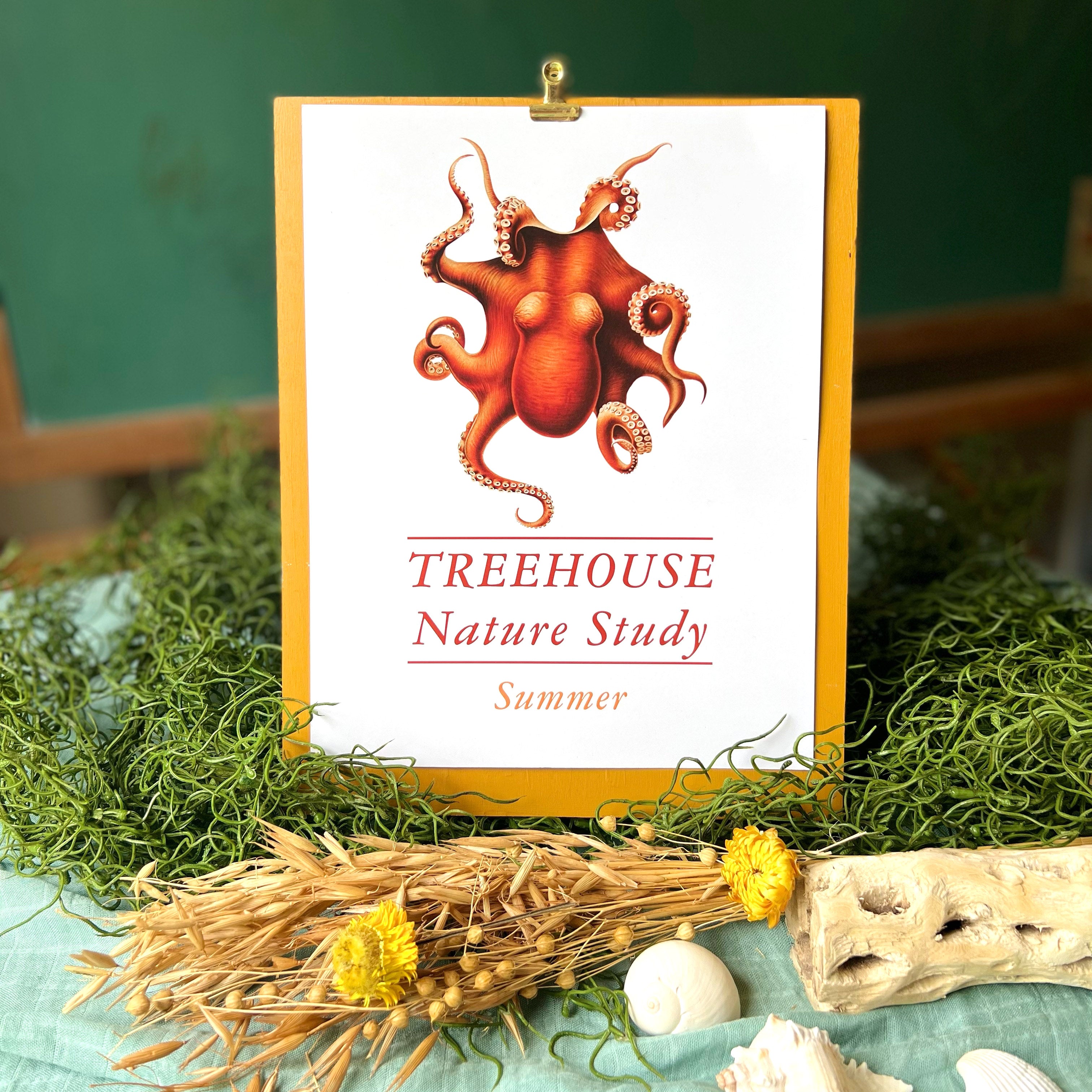 Treehouse Nature Study: Summer, Primary Years (Small Group License)