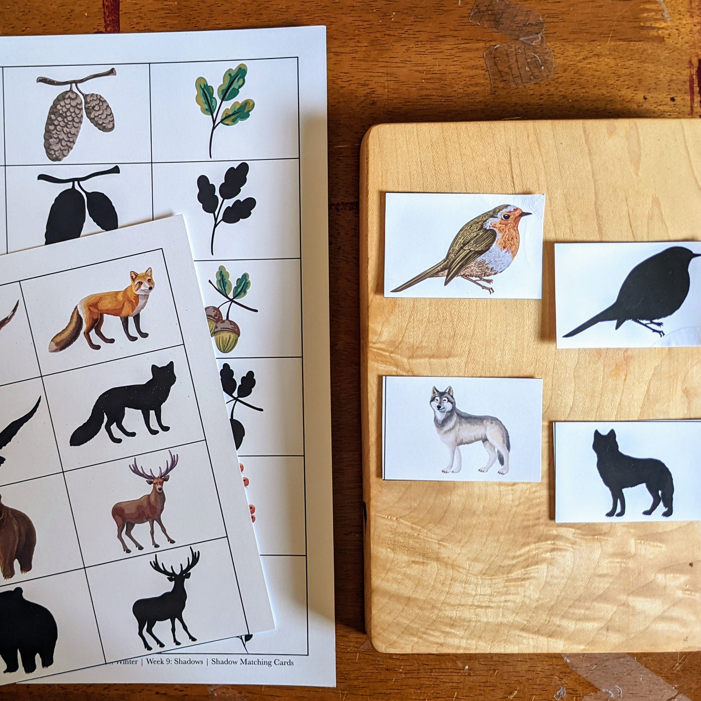 Treehouse Nature Study: Winter, Primary Years