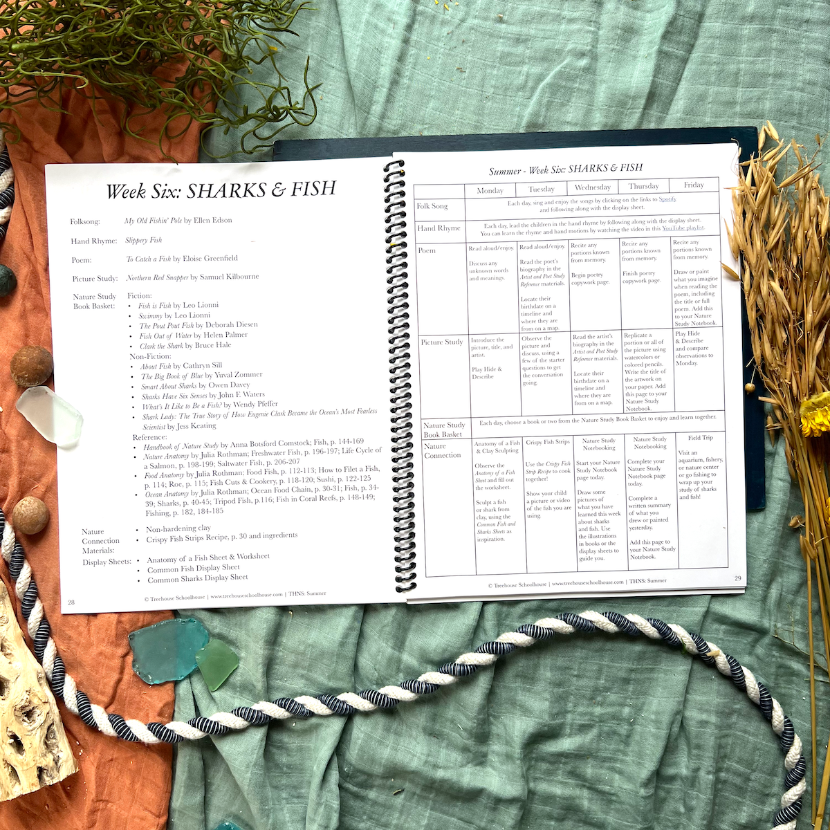 Treehouse Nature Study: Summer, Primary Years (Small Group License)