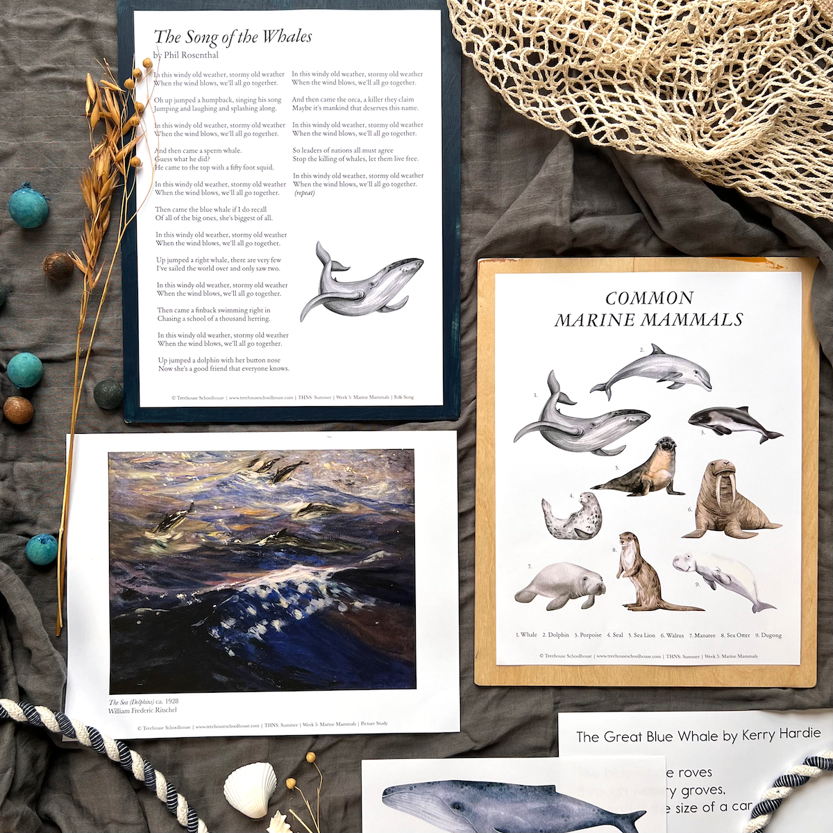 Treehouse Nature Study: Summer, Primary Years (Small Group License)