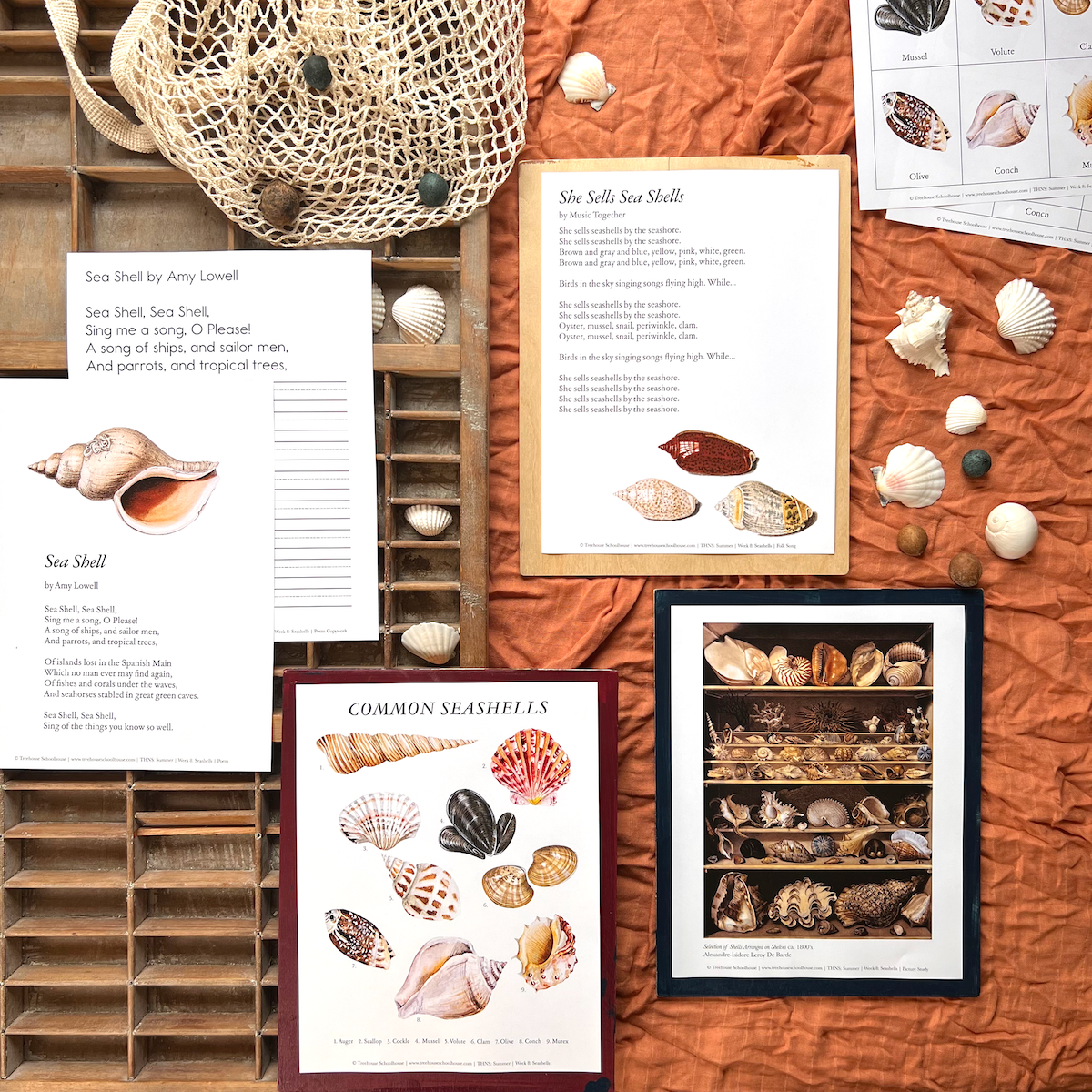 Treehouse Nature Study: Four Seasons Collection, Primary Years (Small Group License)