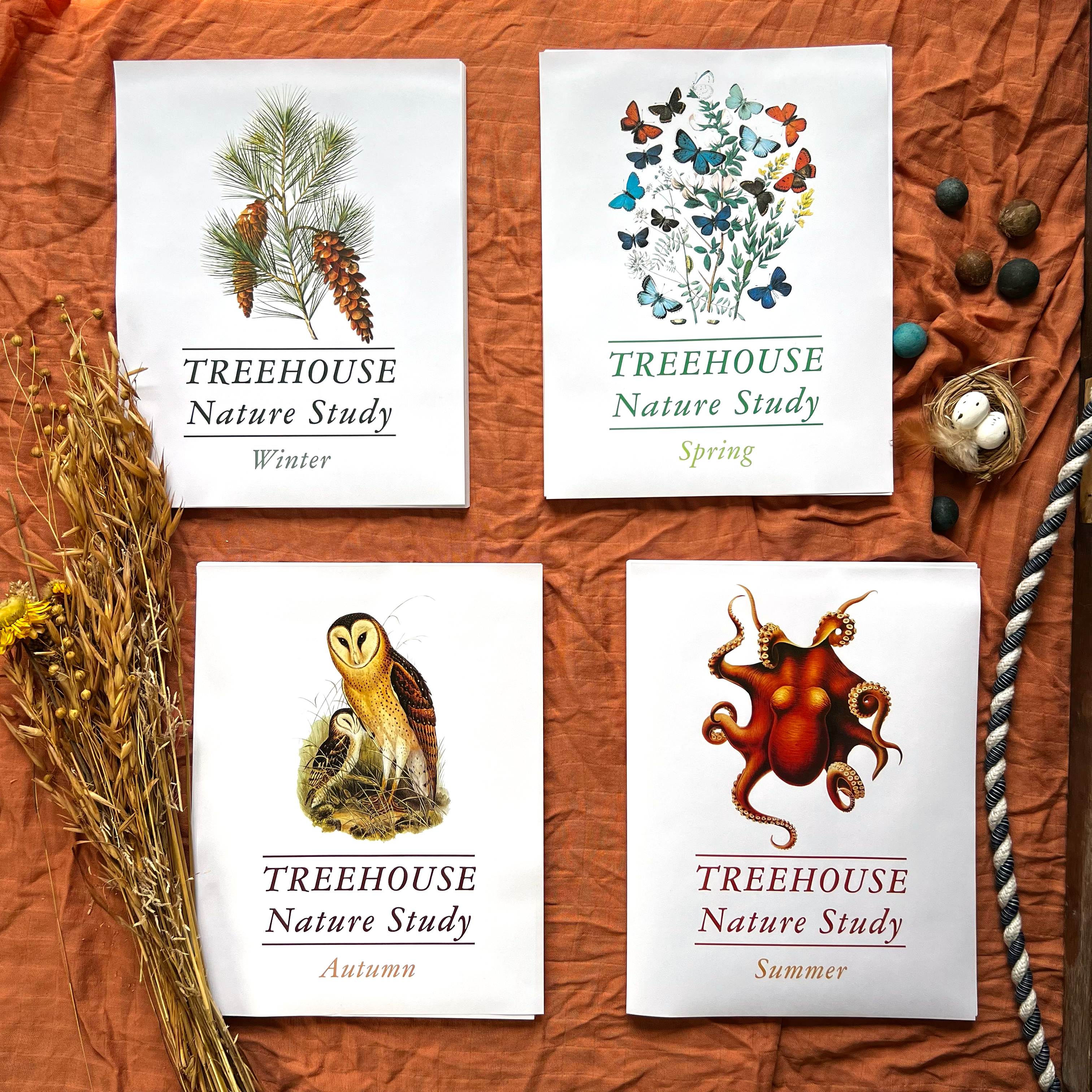 Treehouse Nature Study: Four Seasons Collection, Primary Years (Small Group License)