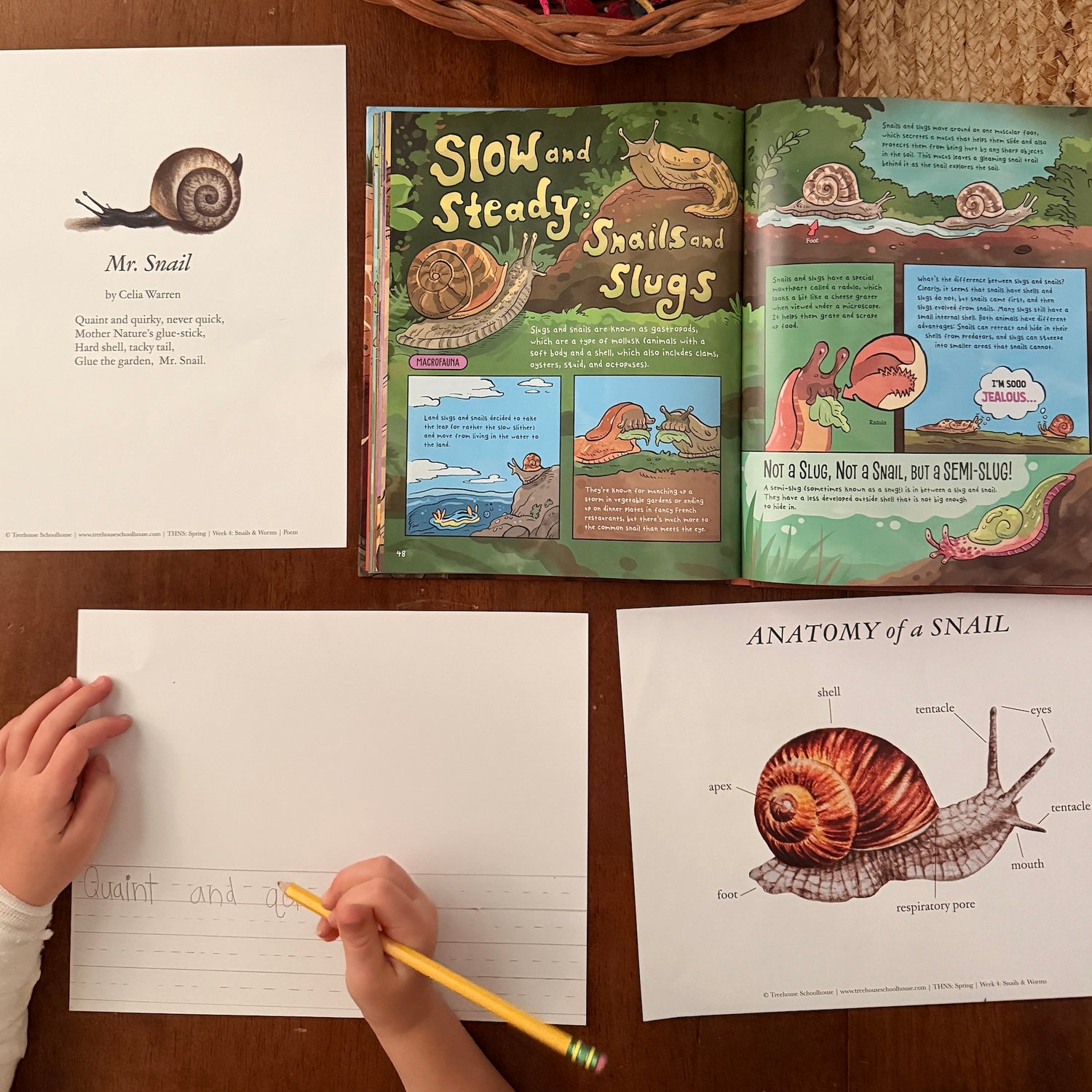 Hands-On Spring Nature Study: Snail & Worm Unit Study for Kids