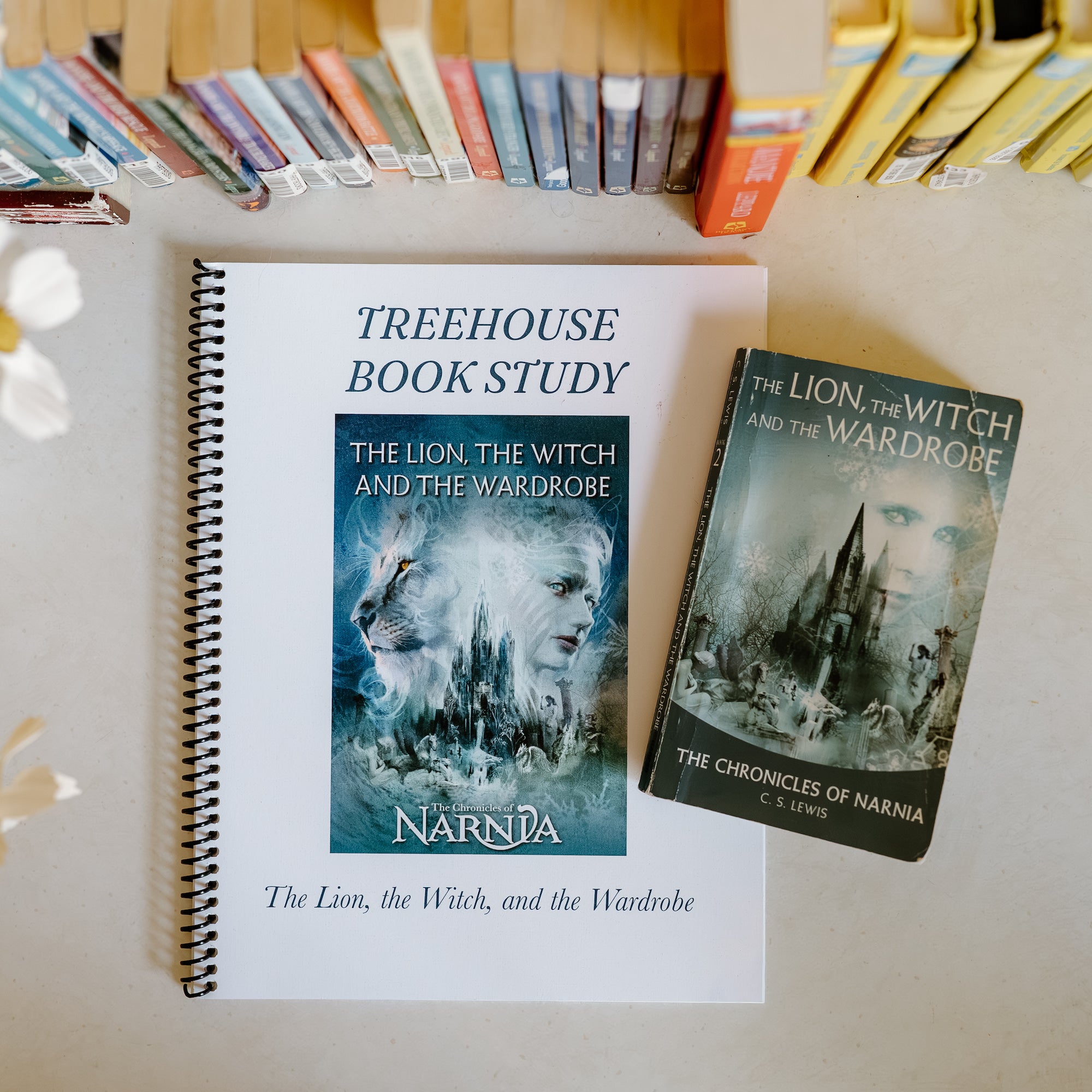 13 Narnia Book Study Activities for Kids [Free Copywork PDF]