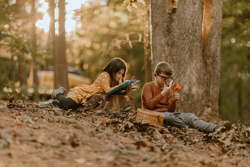 Autumn Homeschooling: Ideas for a Season of Connection [Free Book List]