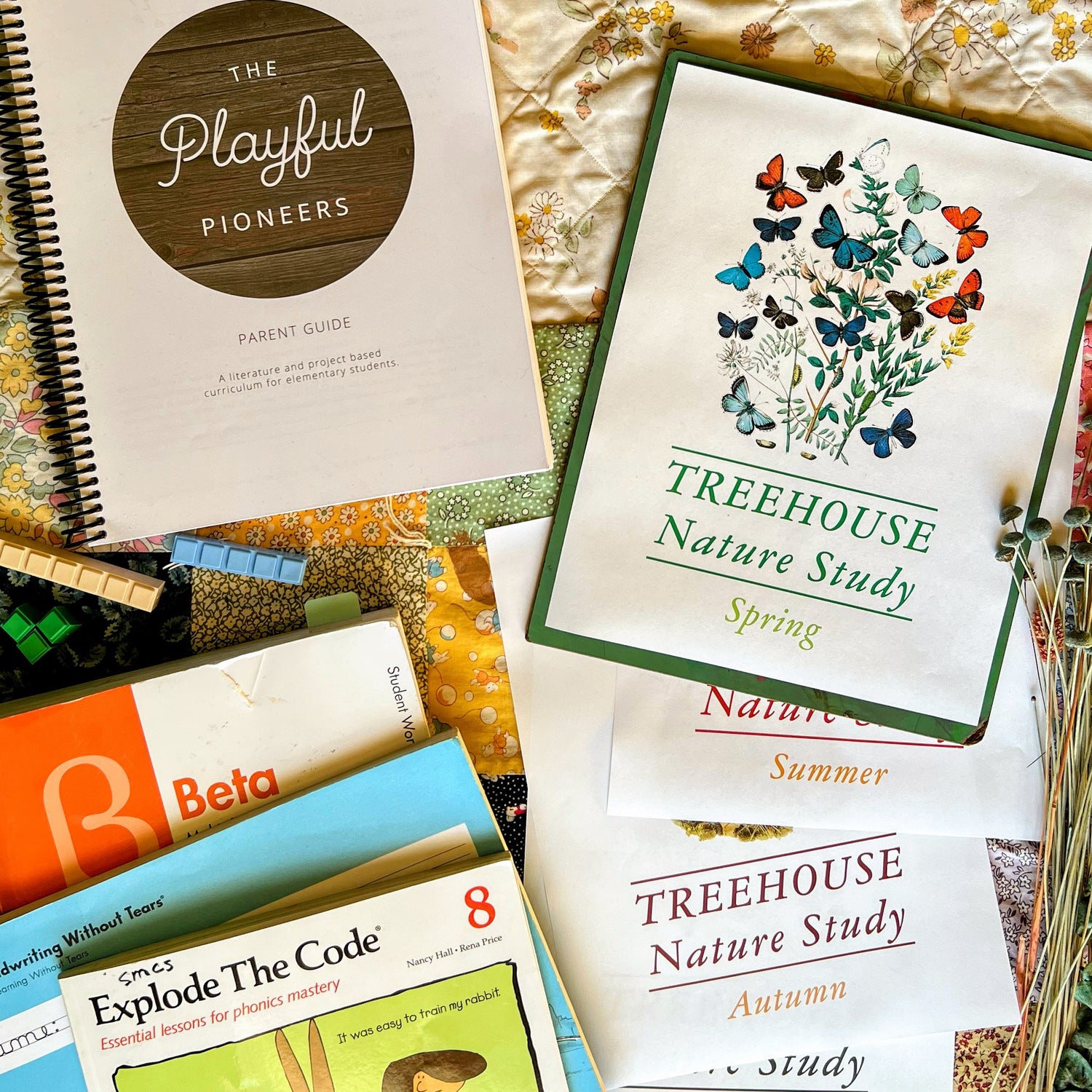 Our Elementary Curriculum Choices 2022