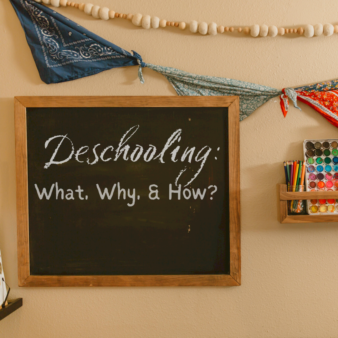 Deschooling: What, Why, and How?