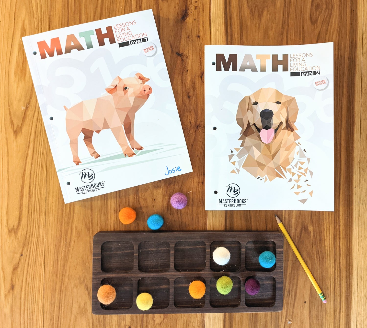 Math Lessons for a Living Education