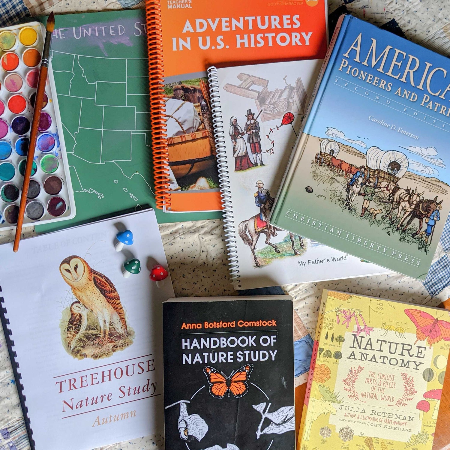 Our Homeschool Curriculum Choices for 2021-2022: Pre-K, 1st, and 3rd Grade