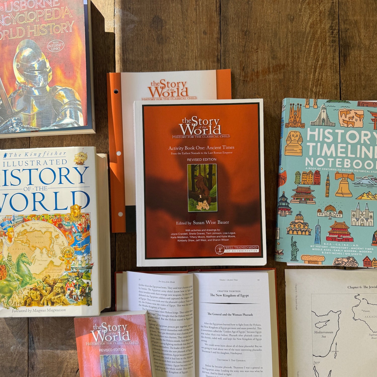 The Story of the World History Curriculum Review