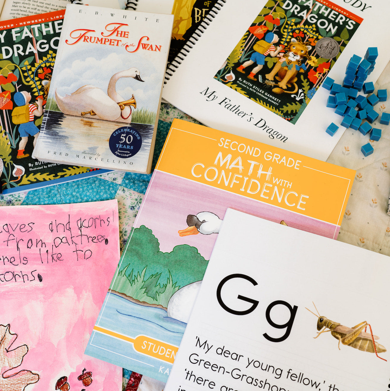 Our 2026-2027 Homeschool Curriculum: 1st, 3rd, 6th & 8th Grade