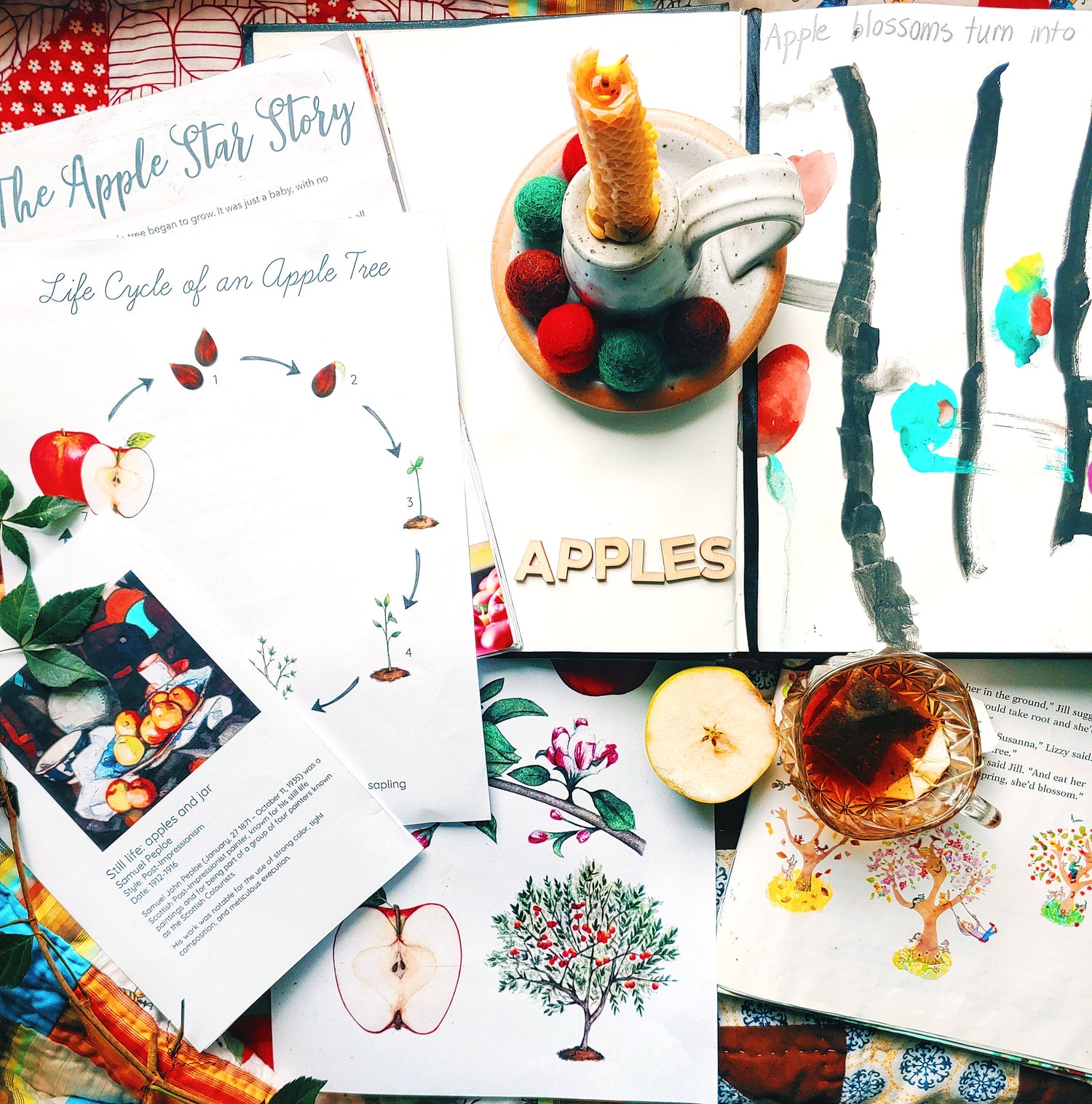 Charlotte Mason Apple Study Curriculum