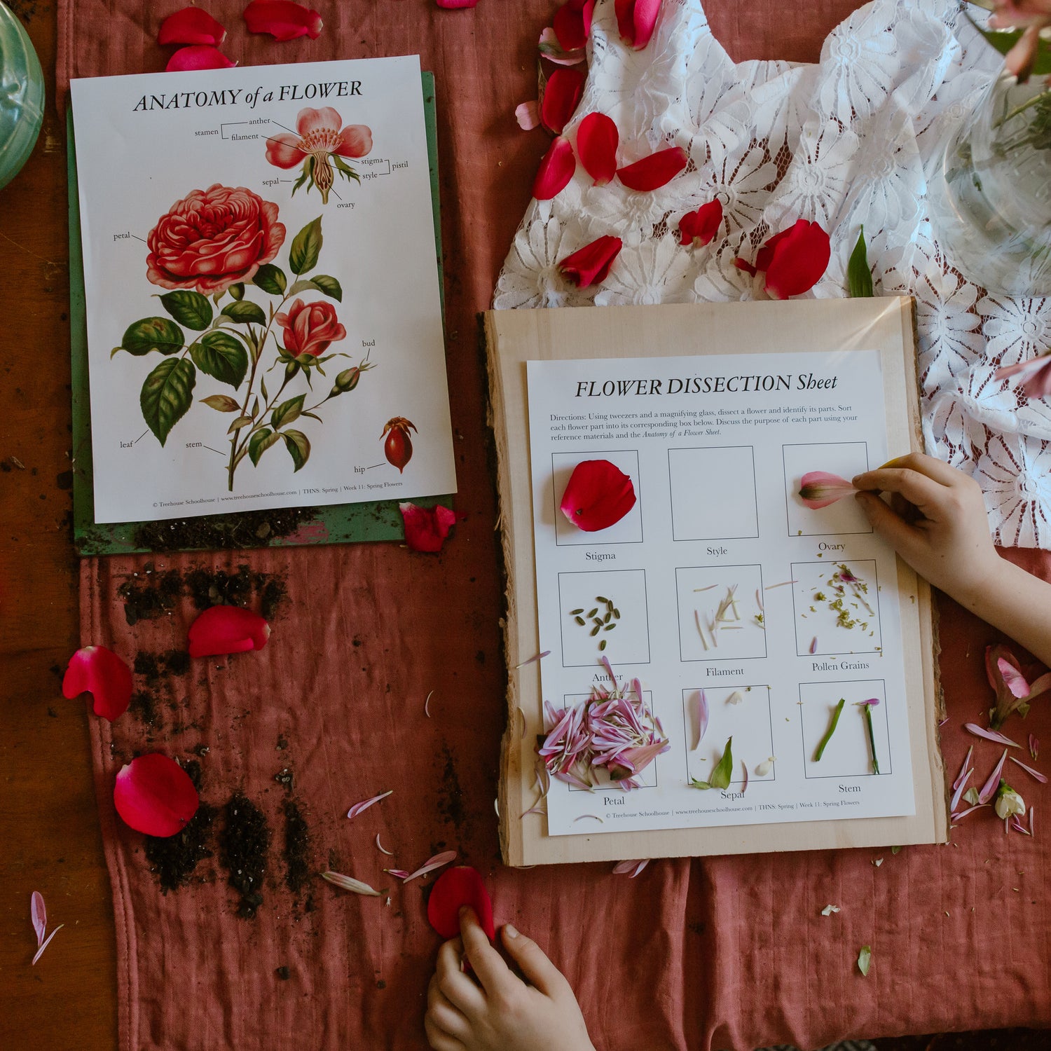 Treehouse Nature Study: Spring, Primary Years