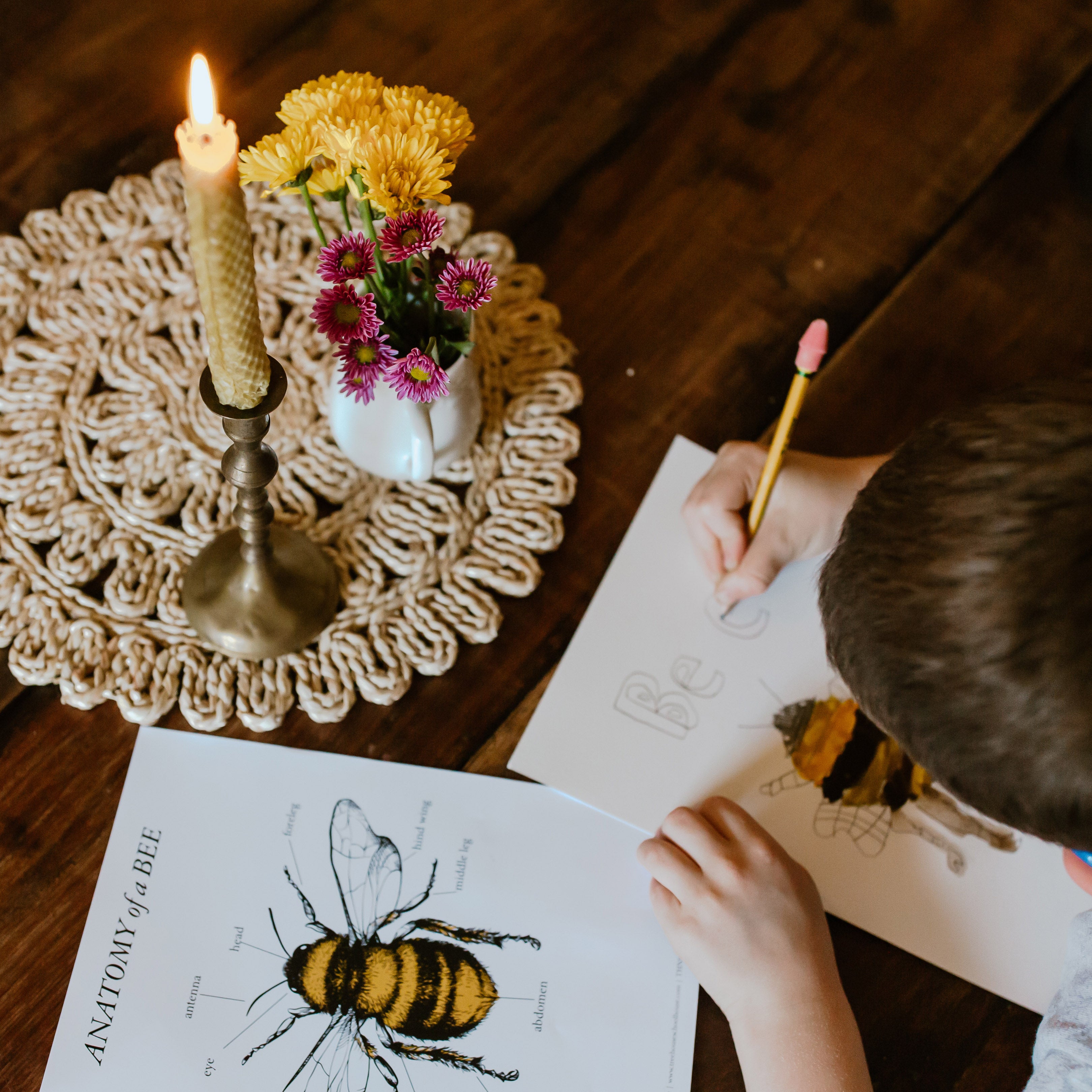 Treehouse Nature Study: Spring, Primary Years