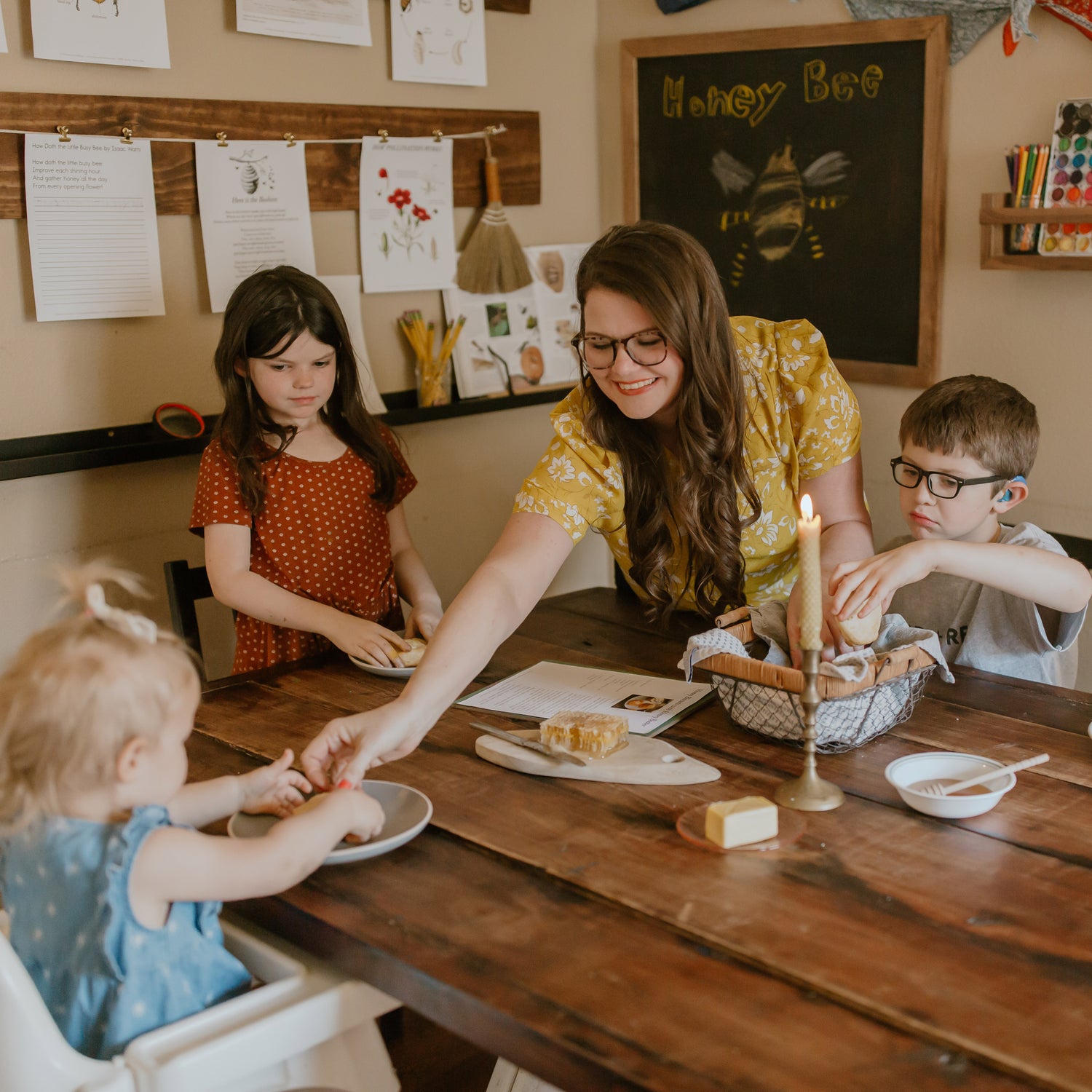 Treehouse Nature Study: Four Seasons Collection, Primary Years