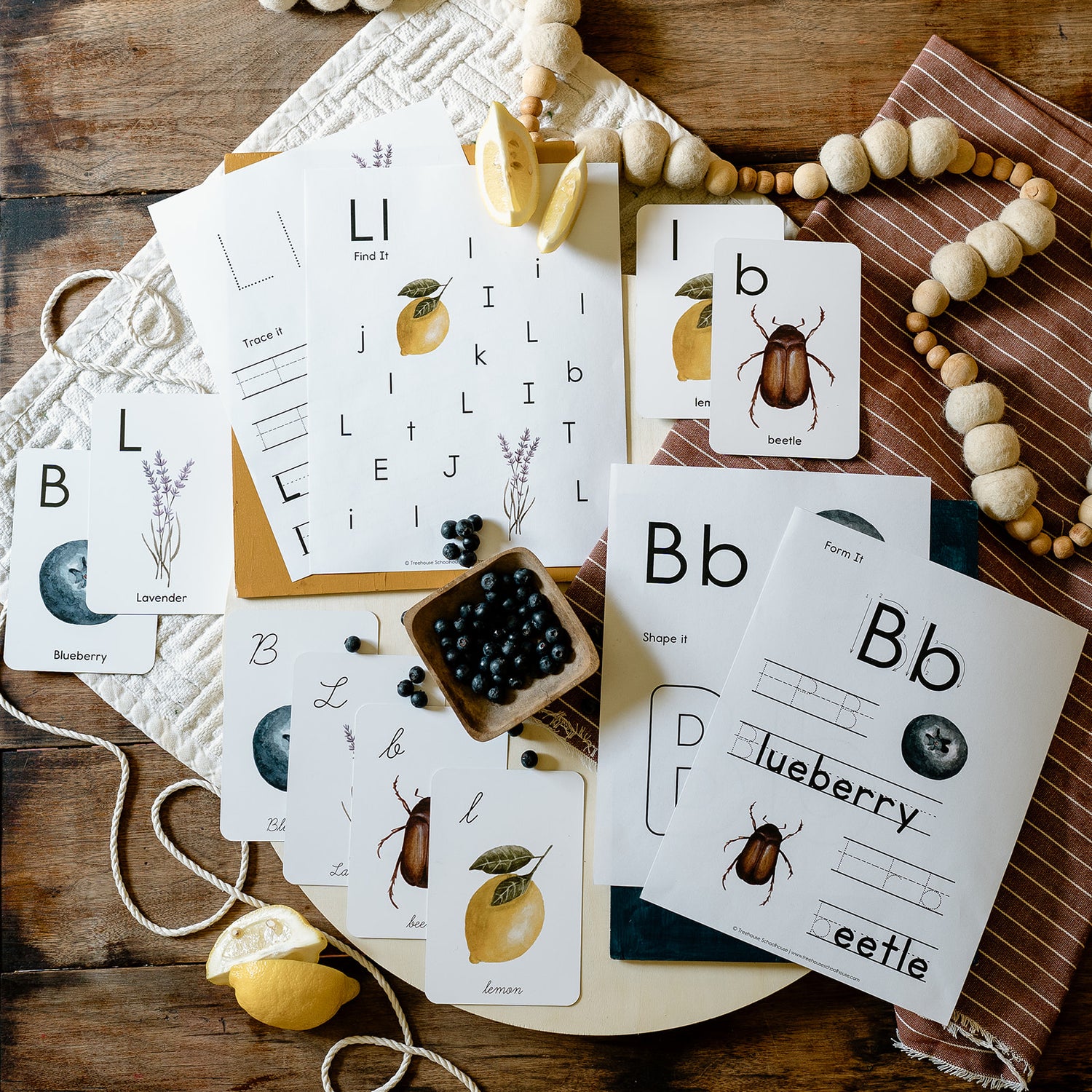 Wonder of Nature Alphabet Sheets Small Group License