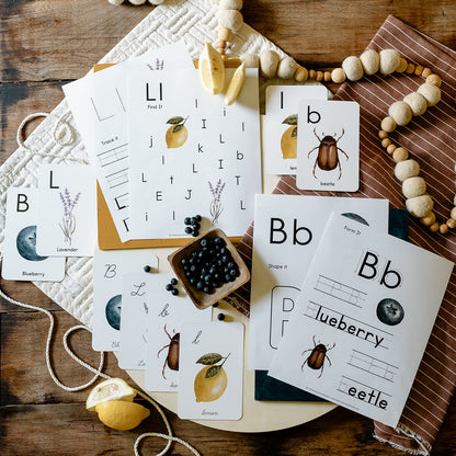 Wonder of Nature Alphabet Sheets Small Group License