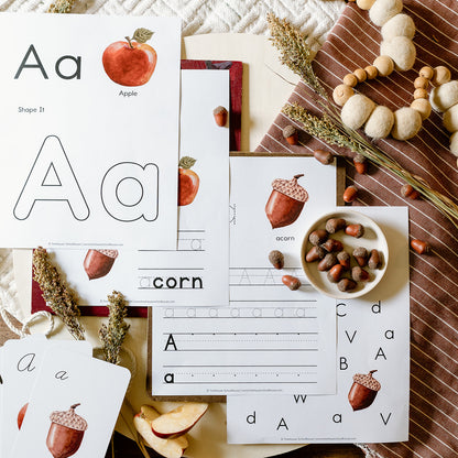 Wonder of Nature Alphabet Sheets Small Group License