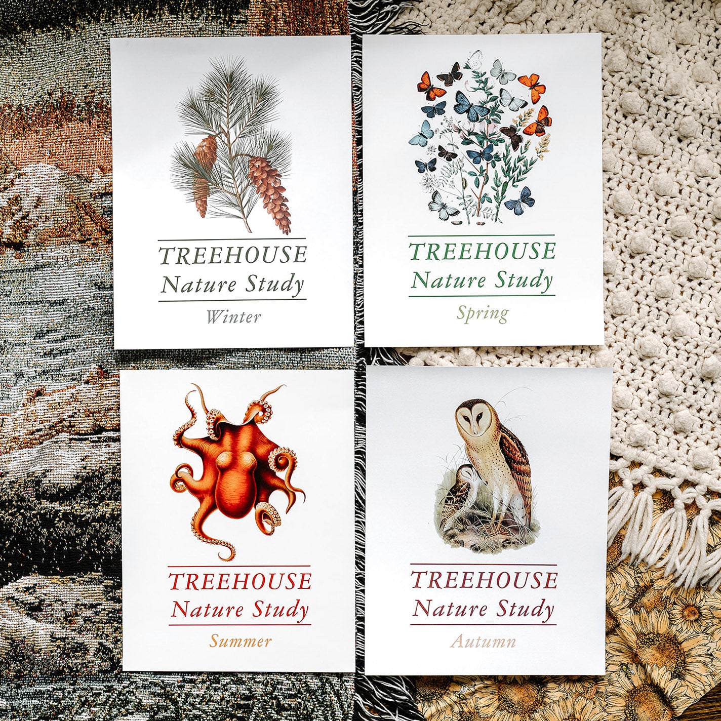 Treehouse Nature Study: Four Seasons Collection, Primary Years