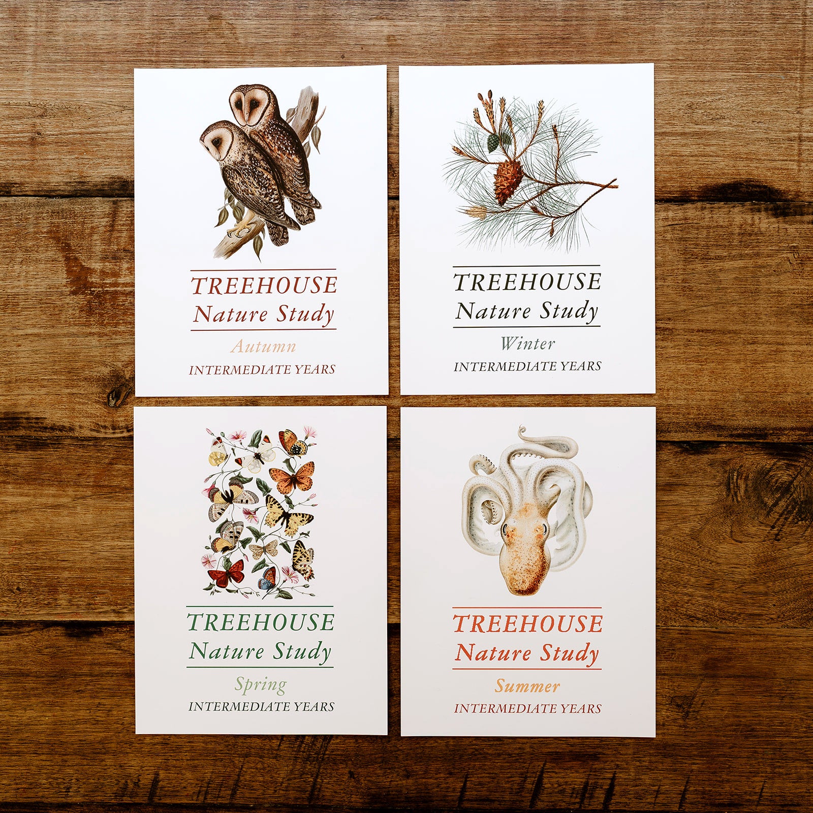 Treehouse Nature Study: Four Seasons, Intermediate Years