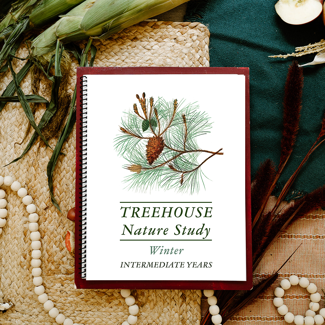 Treehouse Nature Study: Winter, Intermediate Years