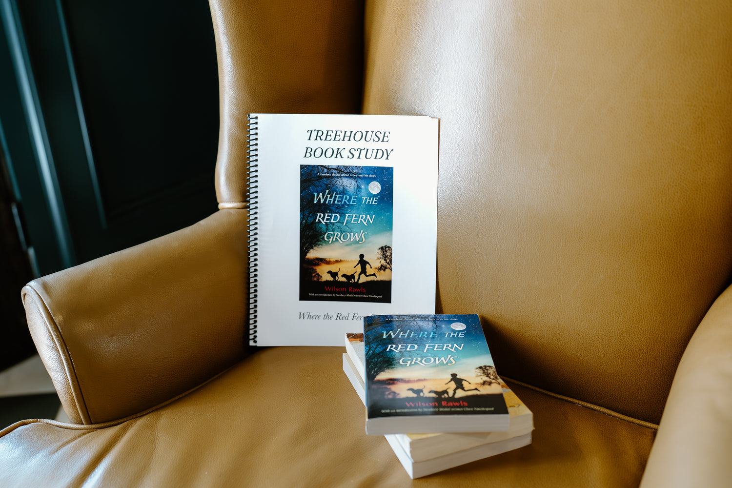 Where the Red Fern Grows Book Study