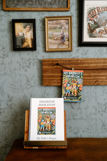 My Father’s Dragon Book Study