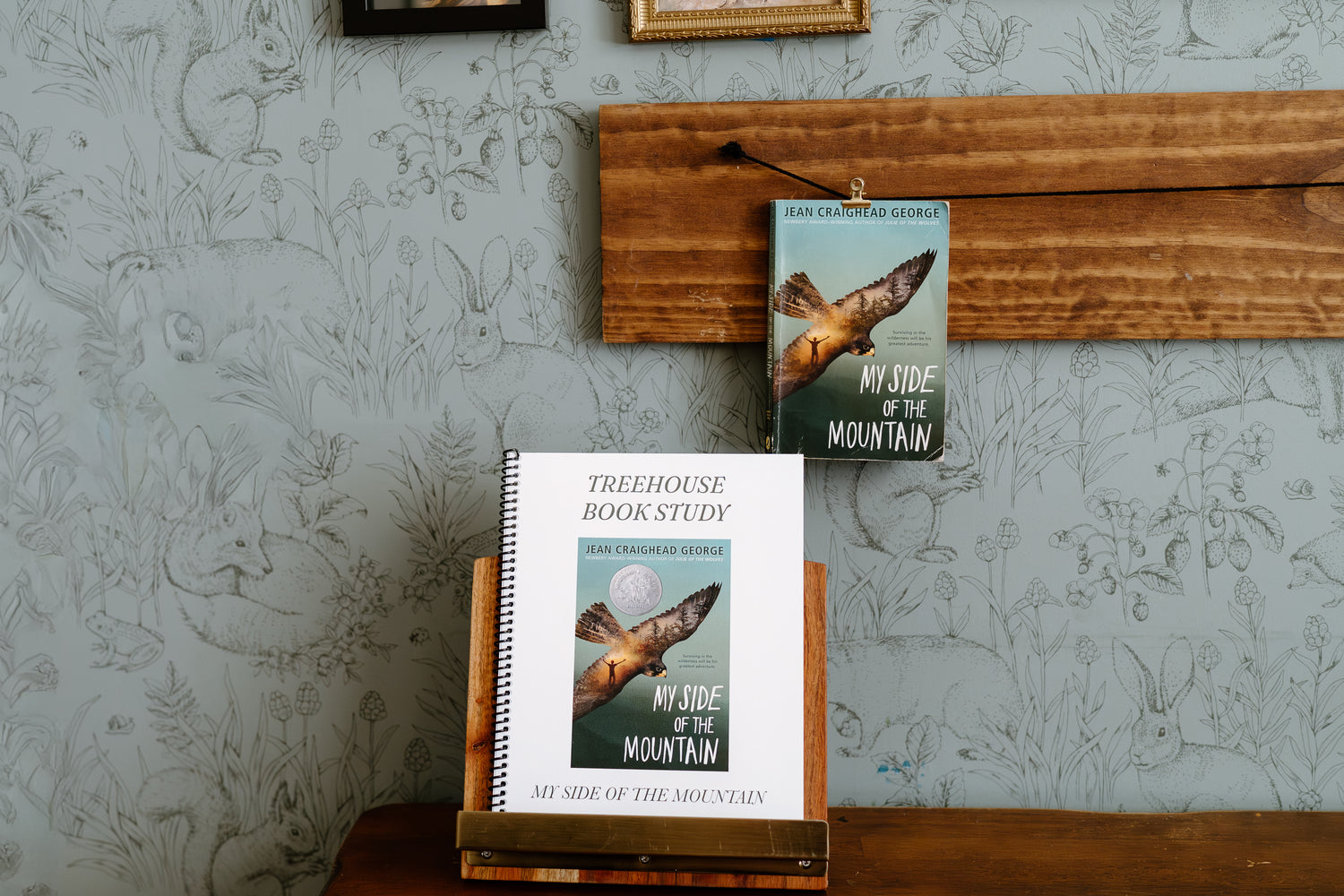 My Side of the Mountain Book Study