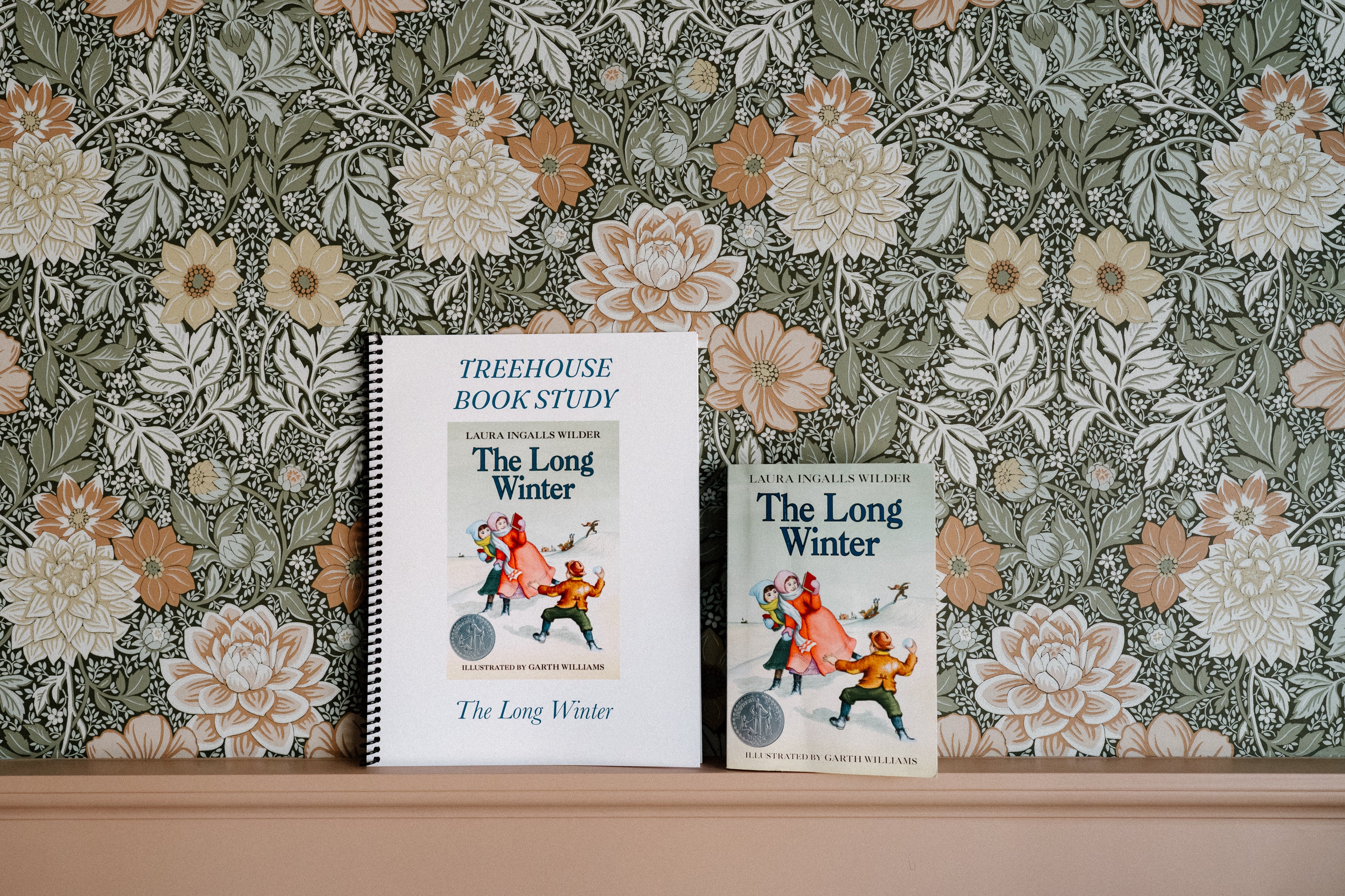 The Long Winter Book Study