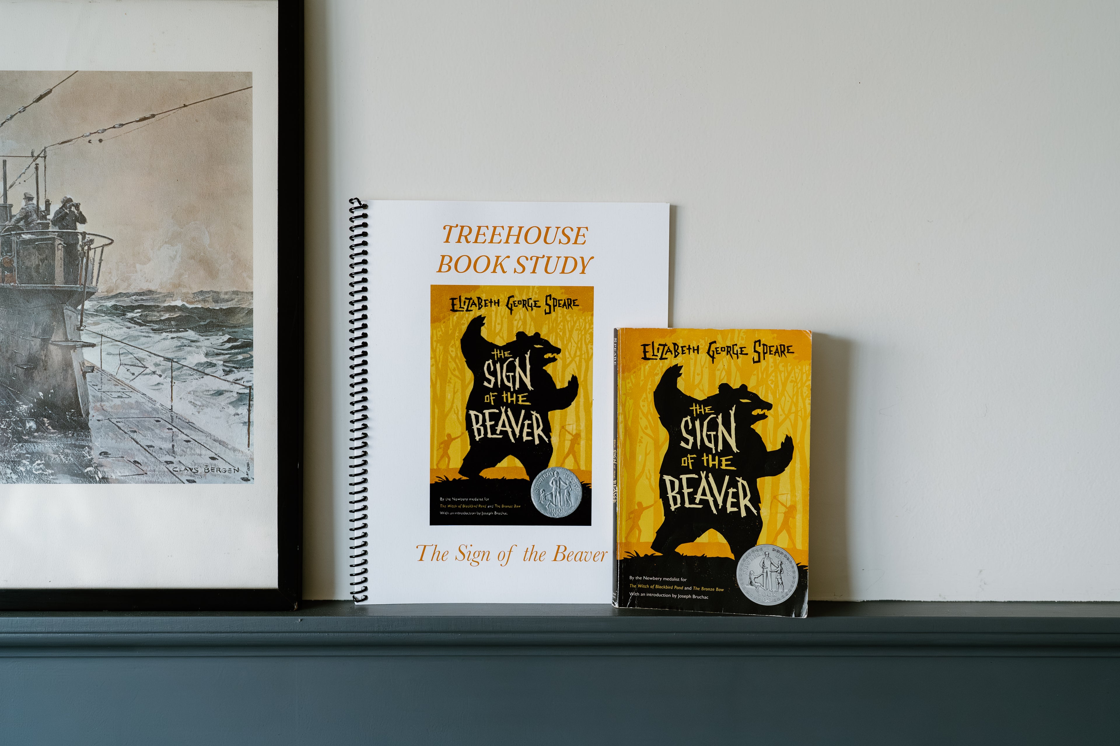 The Sign of the Beaver Book Study