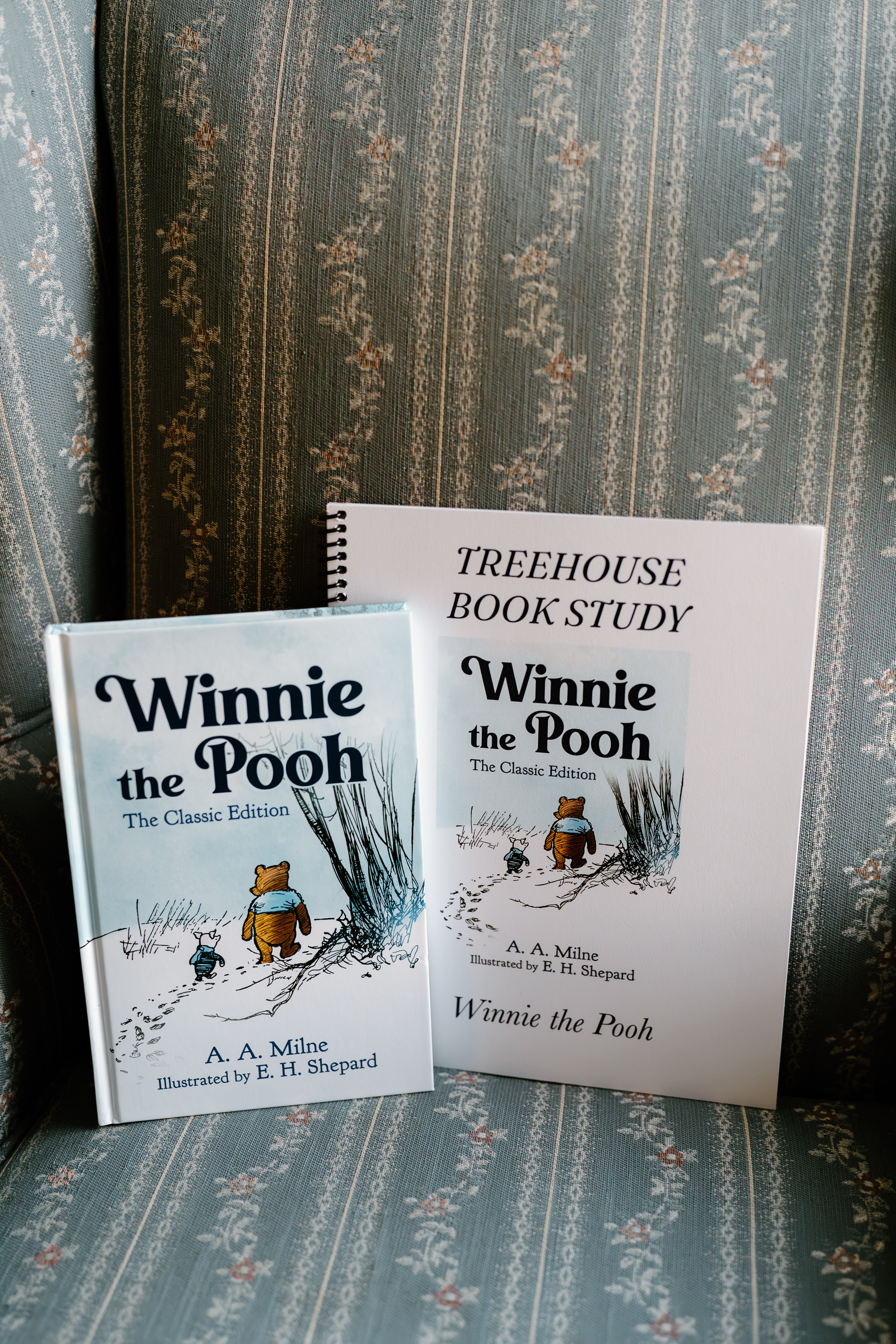 Winnie the Pooh Book Study