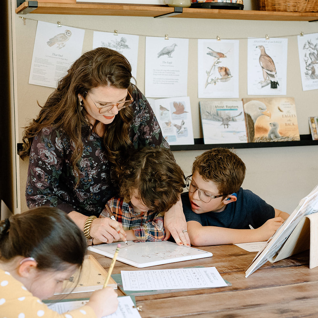 Treehouse Nature Study: Four Seasons Collection, Primary Years