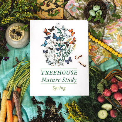 Treehouse Nature Study: Spring, Primary Years