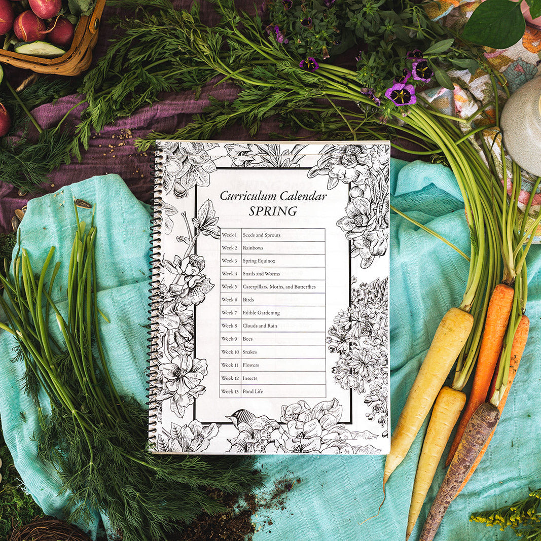 Treehouse Nature Study: Spring, Primary Years (Small Group License)