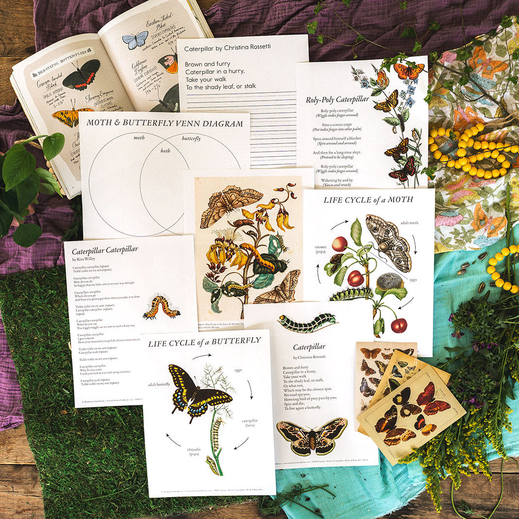 Treehouse Nature Study: Spring, Primary Years (Small Group License)