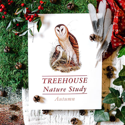 Treehouse Nature Study: Autumn, Primary Years