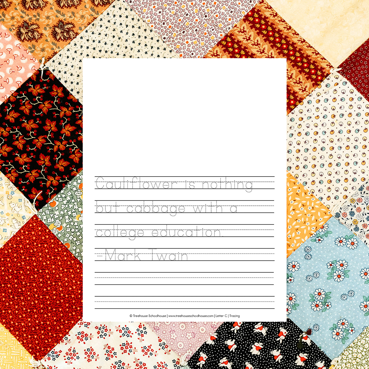 Wonder of Nature Print Copywork (Digital Download)